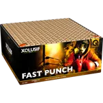 Lesli Feuerwerksbatterie Fast Punch